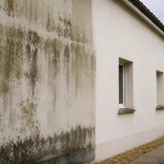 Image générée : Murs endommagés et nettoyage partiel