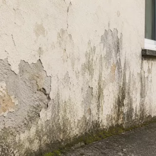 Illustration de Comment reconnaître une peinture de façade qui ne protège plus le support ?