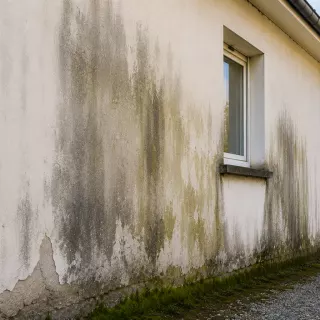 Illustration de Comment reconnaître des taches d’humidité sur une façade ?